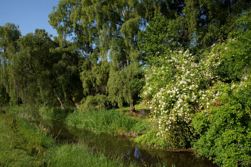 The Mill House